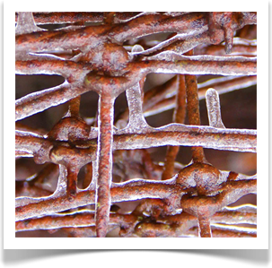 Fine Art Museum Exhibition 2021